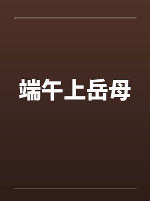 端午上岳母笔趣阁无弹窗